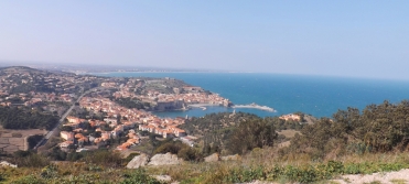 vue sur Collioure depuis le Fort St Elme